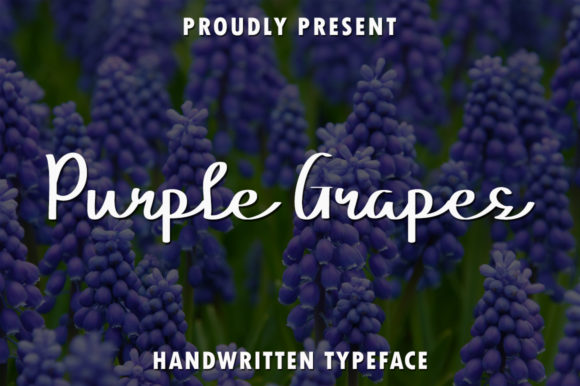 Purple Grapes: A Friendly Handwritten Font for Branding