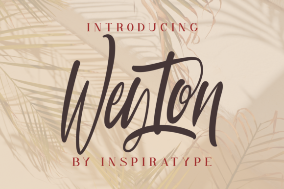 Weyton: A Quirky Script Font for Modern Web Design